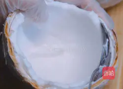 Coconut Beef Rib Soup Recipe Illustration 3