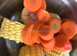 Carrot, Corn and Spare Ribs Soup Recipe Illustration 1