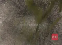 Illustration of how to make cold kelp shreds 5