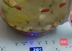 Illustration of Tremella Lotus Seed Soup 8