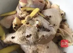 Illustration of shredded chicken 1