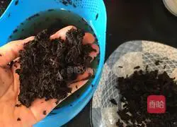 Illustration of how to make prunes and vegetable pots 5