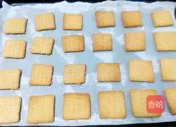 Whole wheat soda crackers recipe 13