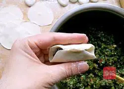 Pork and leek dumplings Practice illustration 17