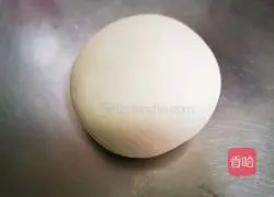 Illustration of hand-rolled noodles 2