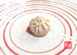 Baozi Illustration of how to do it 8