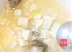 Illustration of how to make crucian carp tofu soup 3