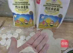 Snowflake wheat flour vegetarian dumplings Illustration of practice 10