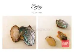 For one person | Illustration of how to make abalone, cordyceps and flower stewed in chicken soup 3