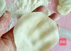 Simple version of Shaomai recipe 6