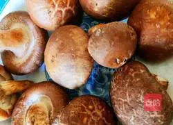 Illustration of how to make homemade dumplings with celery, mushrooms and meat 2