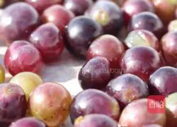 Wine brewing method diagram 3