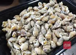 Illustration of spicy seafood recipes 2