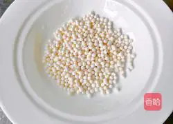 Watermelon Sago Recipe Illustration 1