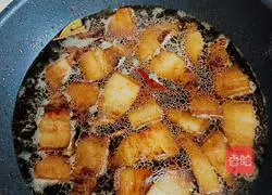 Illustration of Braised Pork Recipes 7