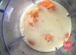 Papaya Illustration of how to make milkshake 4