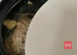 Illustration of morel stew with gravy 4