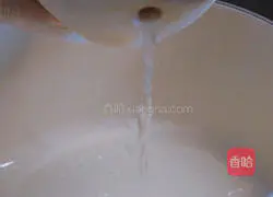 Coconut Beef Ribs Soup Illustration 2