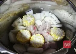 Winter Melon, Pork Ribs and Corn Soup Recipe Illustration 5