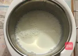 Illustration of how to make homemade kiwi yogurt 2