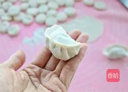 Illustration of how to make pork and sauerkraut dumplings 11