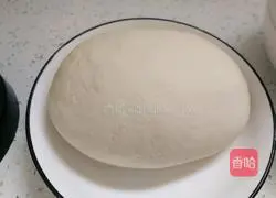 Illustration of handmade mushroom and pork dumplings 1