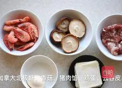 Illustration of Canadian Arctic Shrimp Steamed Steamed Shaomai 1