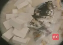 Illustration of how to make fish head and tofu soup 5