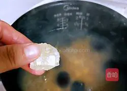 Illustration of Tremella, Lotus Seed and Red Date Soup 12