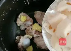 Cordyceps Flower Pork Bone Soup Recipe Illustration 8