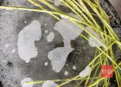 Illustration of how to make wolfberry leaf lean meat soup 4