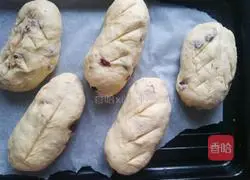 Milk Cranberry Bread Recipe Illustration 13