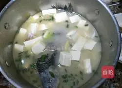 Illustration of how to make crucian carp tofu soup 6