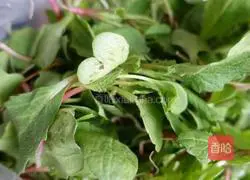 Illustration of how to make fried radish leaves 1