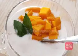 Mango yogurt recipe 7
