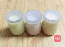 QQ Sugar Mango Pudding Recipe Illustration 9
