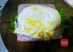 Pocket Sandwich Recipe Illustration 10