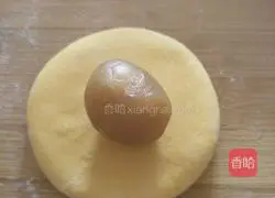 Lemon Packet Recipe Illustration 5