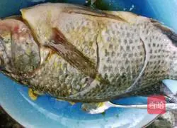 Illustration of braised fish recipe 1