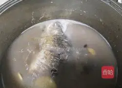 Illustration of how to make black bean and crucian carp soup 16