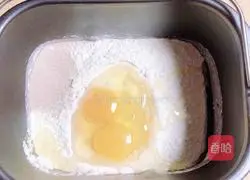 Durian Duoduo Pizza Recipe Illustration 1