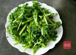 Garlic and chrysanthemums Illustration of how to do it 1