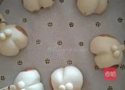 Pictures of how to make a butt corgi cat 18