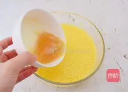 Mango Pudding Recipe Illustration 10