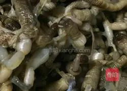 Illustration of how to make frozen bamboo shoots 2