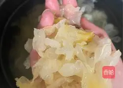 Illustration of Tremella Fungus, Longan and Red Date Soup 1