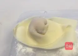 Illustration of how to make wontons 18