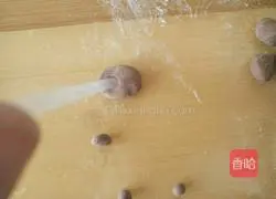 Illustration of how to make cartoon cocoa steamed buns 7