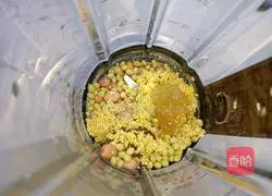 Illustration of how to make peanut, soybean and millet soy milk 2