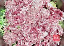 Northeast Pickled Cabbage and Pork Dumplings (Lazy Man Kuaishou Version) Recipe Illustration 4